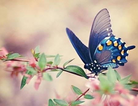 20151215137195758975.jpg 20151215137195758975.jpg